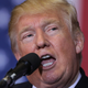 Donald Trump
Chip Somodevilla/Getty Images